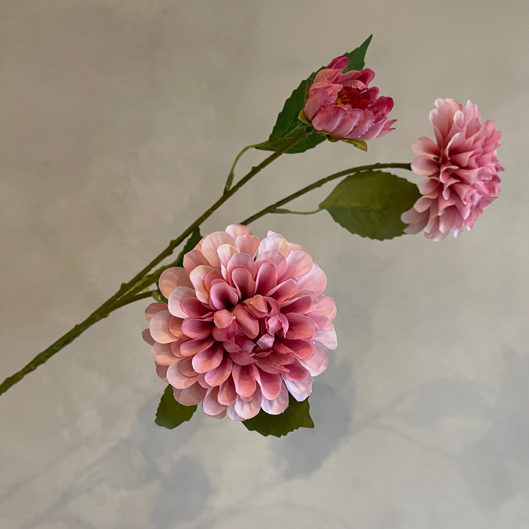 Dahlia pink 75cm